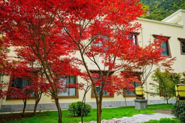 Exterior & Views 2, Gu Er Gou Hot Spring Resort, Ngawa Tibetan and Qiang