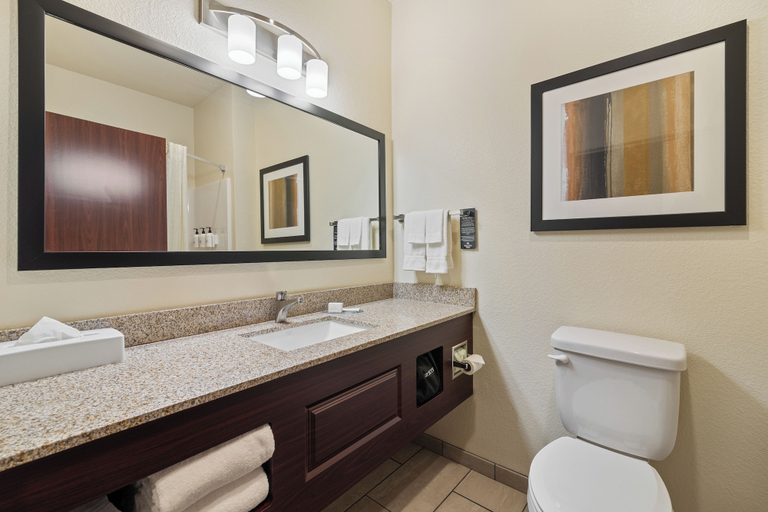 Bathroom 4, Cobblestone Hotel & Suites - Alpine, Lincoln