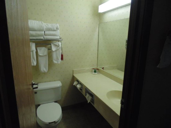 Bathroom, Jasmine Bed and Breakfast Kullu, Kullu