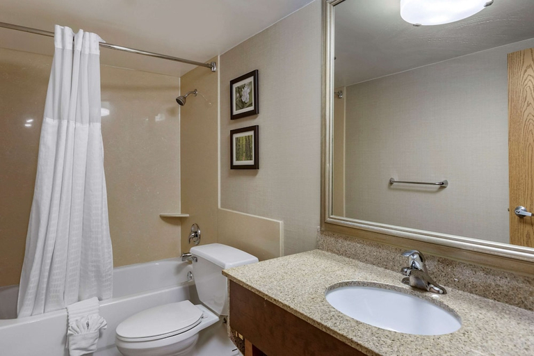 Bathroom 4, Comfort Inn Lansing West, Eaton