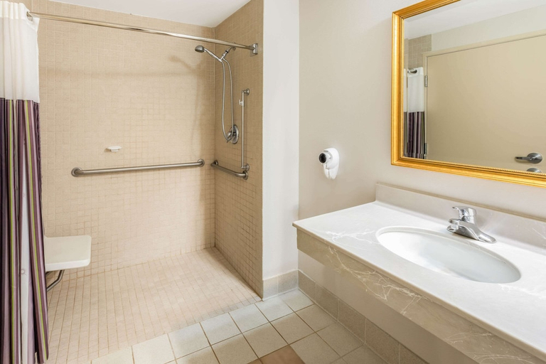 Bathroom 3, La Quinta Inn Suites Madison American Center, Dane
