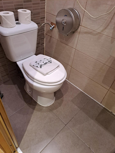 Bathroom 5, Hostal Abel Victoriano, Madrid
