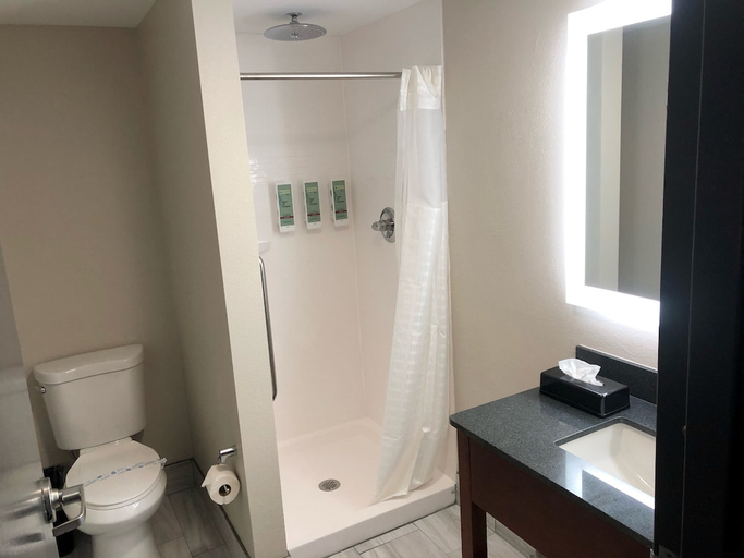 Bathroom 4, Best Western Lexington Inn, Fayette