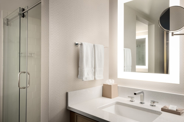 Bathroom 2, Sheraton Madison Hotel, Dane