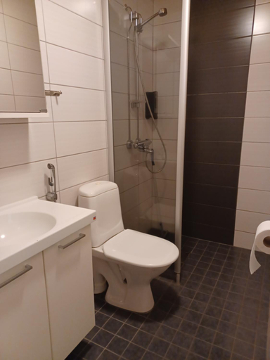 Bathroom 2, Hotel Mestarin Kievari, Lapland