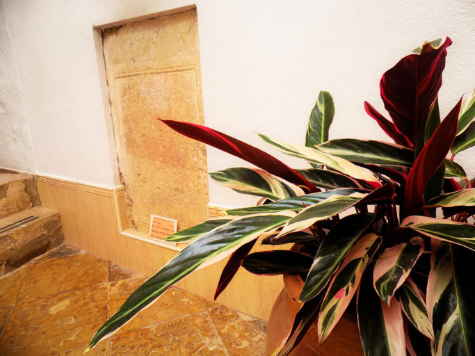 Others 5, Casa Campana, Cádiz