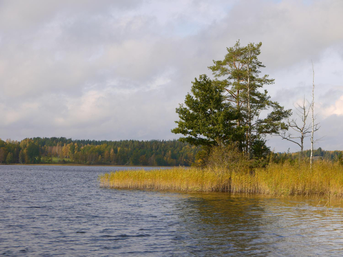 Others 5, Brovillan, Jönköping