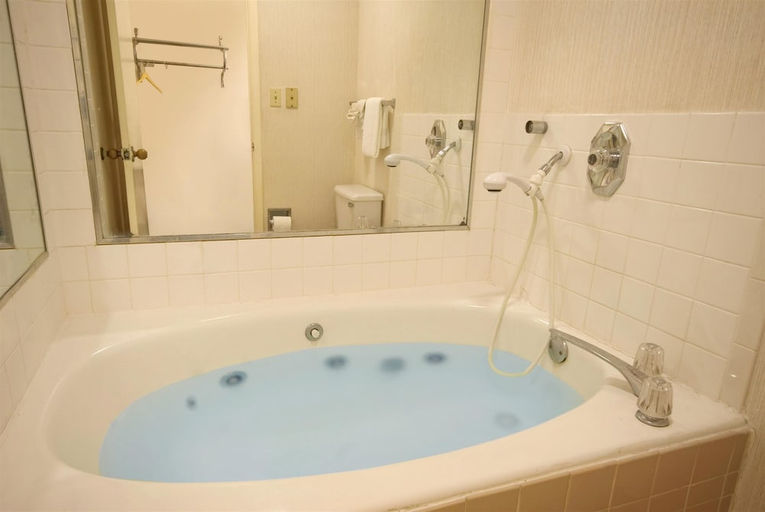 Bathroom, Econo Lodge Mobile, AL, Mobile