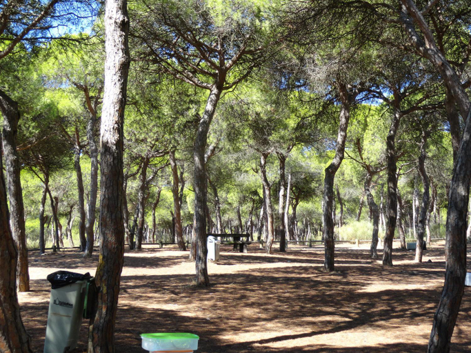 Others 5, Alagoa Azul, Castro Marim