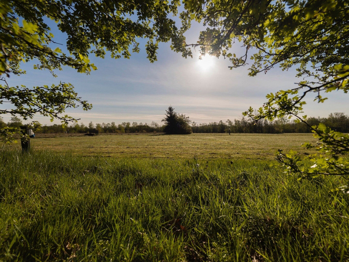 Others 5, Luxury Villa in Drenthe With Outdoor Spa, Ooststellingwerf