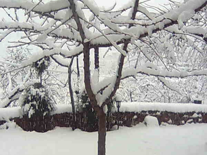 Garden 4, Holiday Home in Laroya Near Centre, Almería