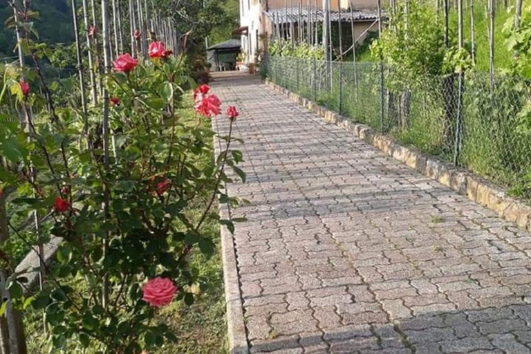 Exterior 5, Holiday Home in Tuscany With Scenic Views, Lucca