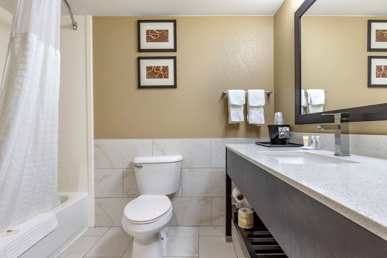 Bathroom 4, Comfort Inn & Suites Mocksville I-40, Davie