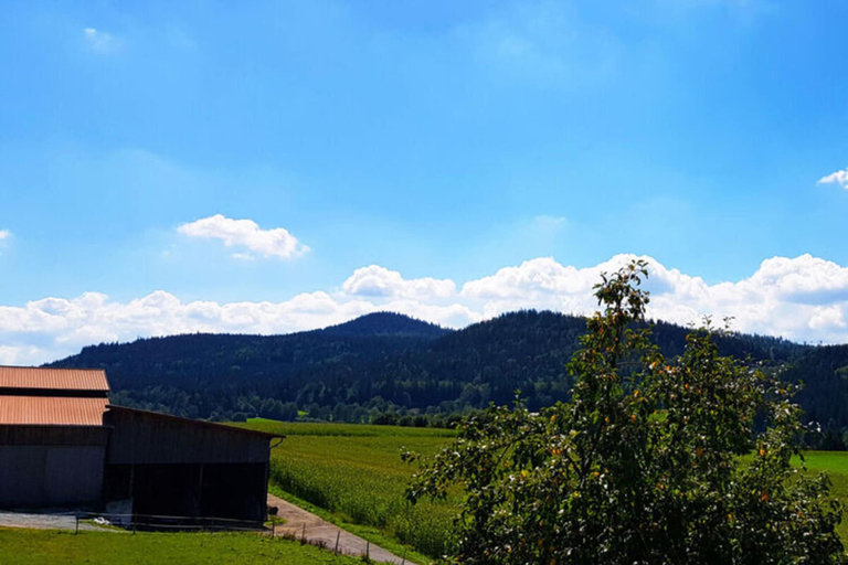 View from property, Holiday Apartment Haus Leutner Bavarian Forest, Regen