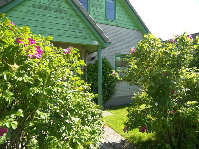 Primary image