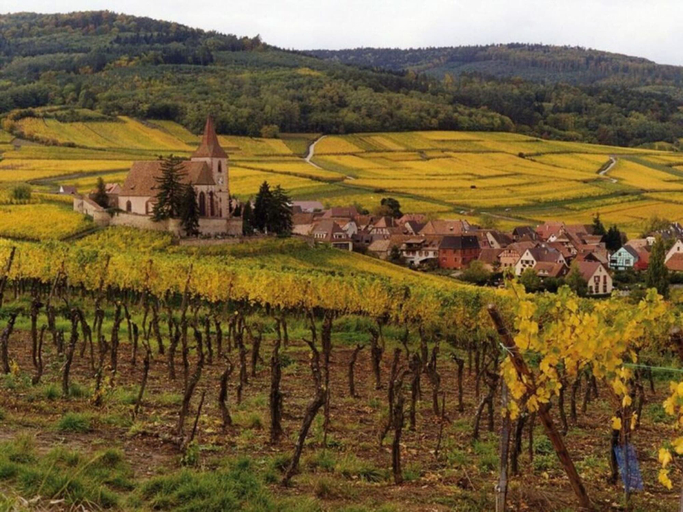Miscellaneous, Le Prevot Comfortable Holiday Residence, Haut-Rhin