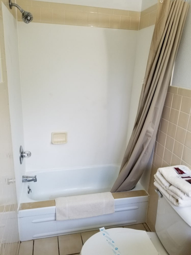 Bathroom 3, Hillcrest Motel, Wood