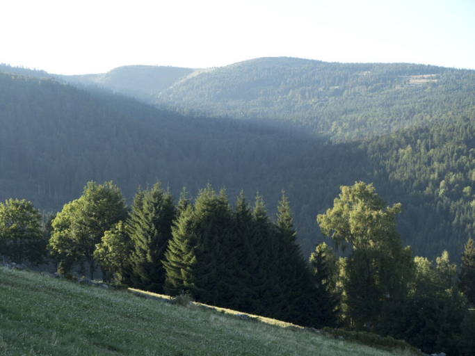 Miscellaneous 5, Classy Apartment in Soultzeren, Haut-Rhin