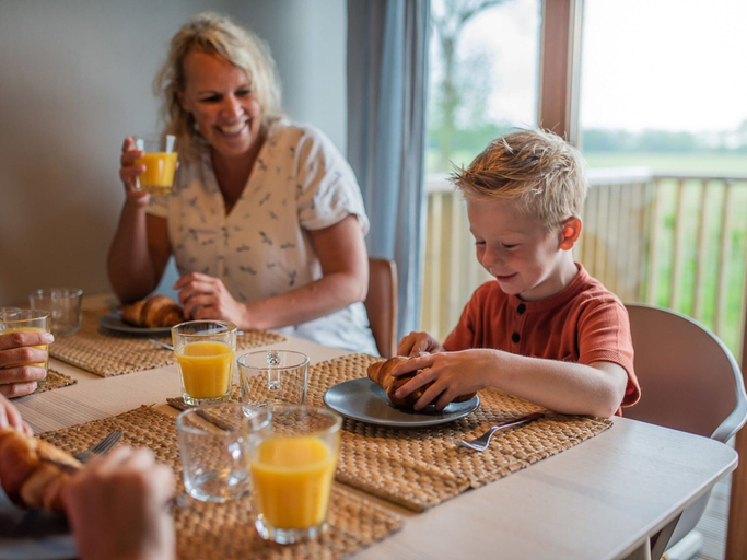 Food & Drinks 3, Lodges in Drenthe With Scenic Meadow Views, De Wolden