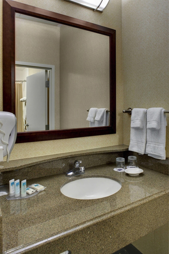 Bathroom 4, Springhill Suites By Marriott Memphis Downtown, Shelby