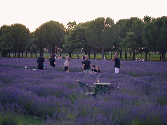 Garden 3, Belvilla by OYO Cotogno, Siena