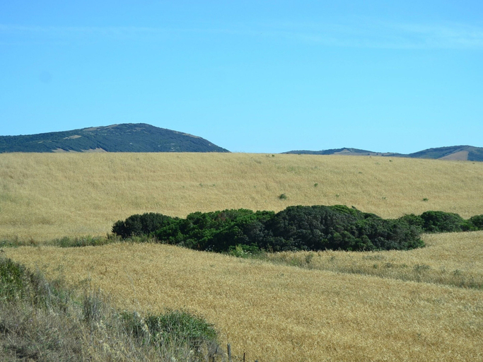 View from property 2, Belvilla by OYO Holiday Home in Alghero, Sassari