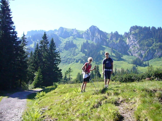 Others 5, Hofatsblick With Sauna, Oberallgäu
