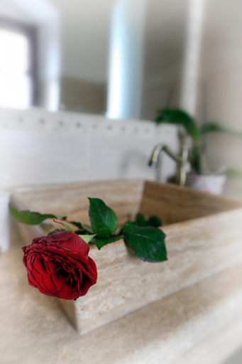 Bathroom 2, Castel Haller, Ogra