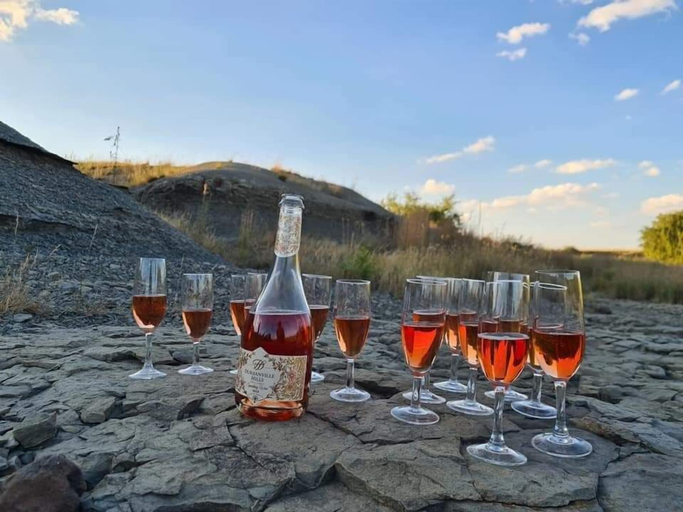 Food & Drinks 5, Francolin Creek, Fezile Dabi