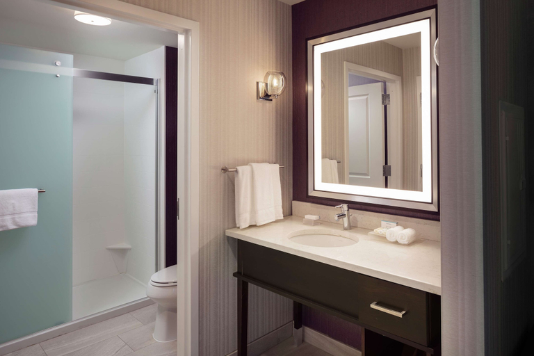 Bathroom 4, Homewood Suites by Hilton Needham Boston, Norfolk