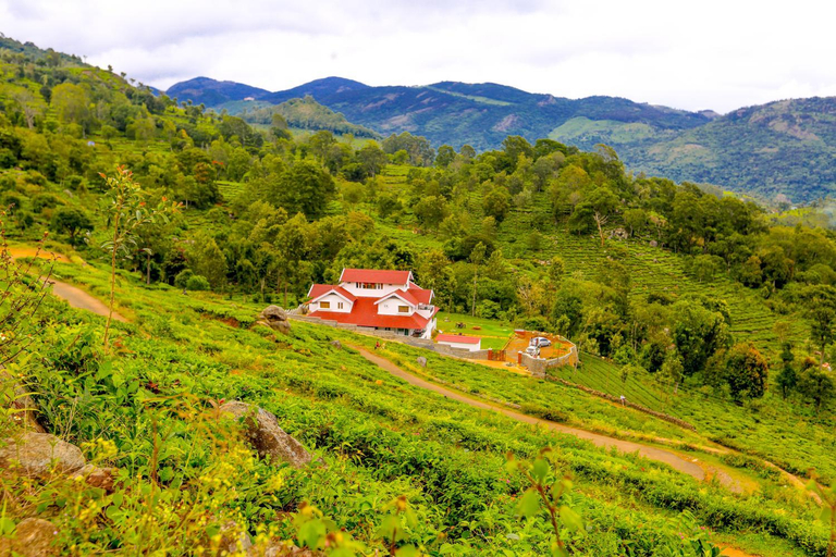 Others 1, Mystique stay resort, The Nilgiris