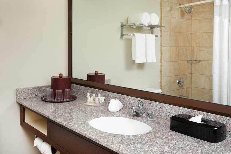 Bathroom 2, Holiday Inn Chicago Matteson Conference Center, Cook