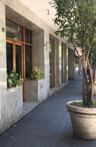 Others 5, Hotel Rey, Distrito Federal