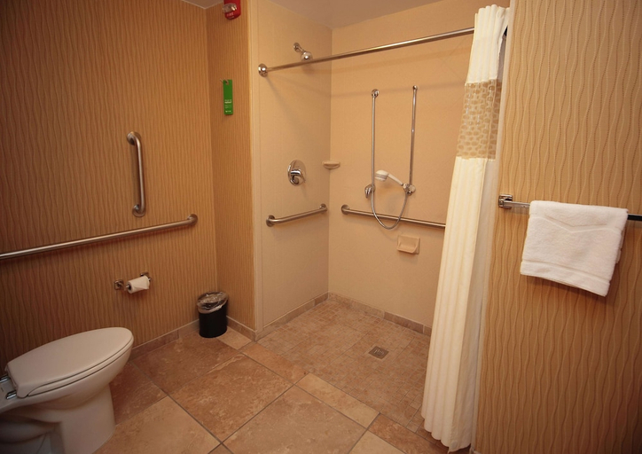 Bathroom, Hampton Inn Milan, TN, Gibson