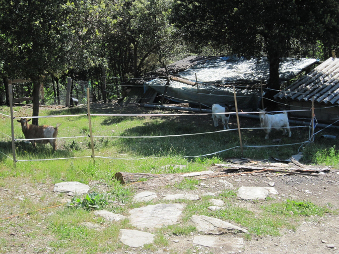 View from property 2, Cevennes Stone Retreat, Lozère