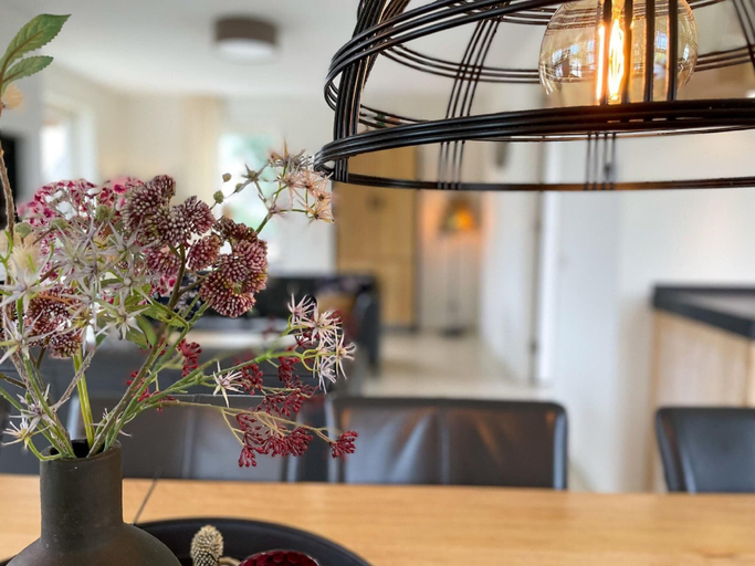 Others 2, Beautiful Villa With Wellness, Lemsterland