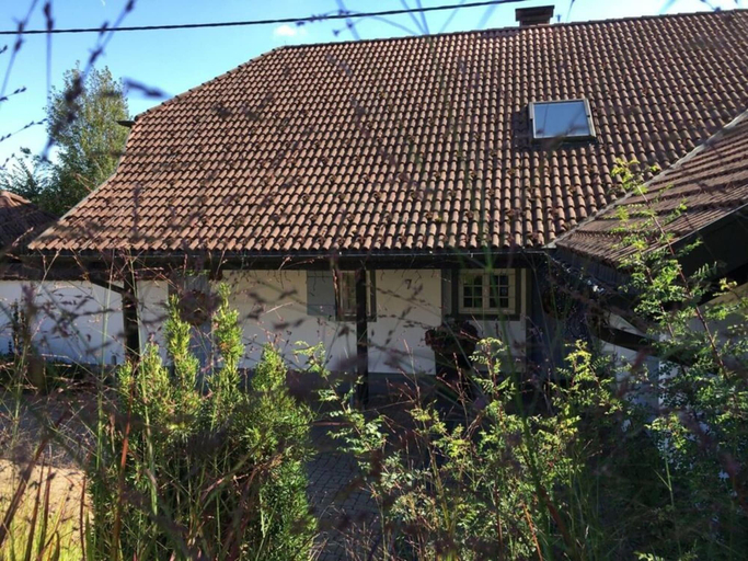 Exterior 5, Holiday Apartment Garden Suite, Waldshut