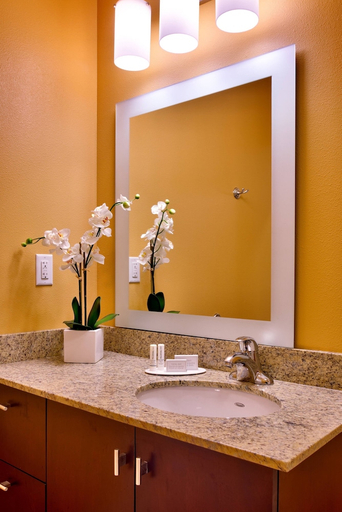 Bathroom 4, Towneplace Suites Missoula, Missoula