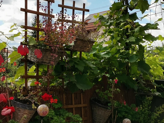 Others 2, Instytut Zdrowia i Hortiterapii, Mrągowo