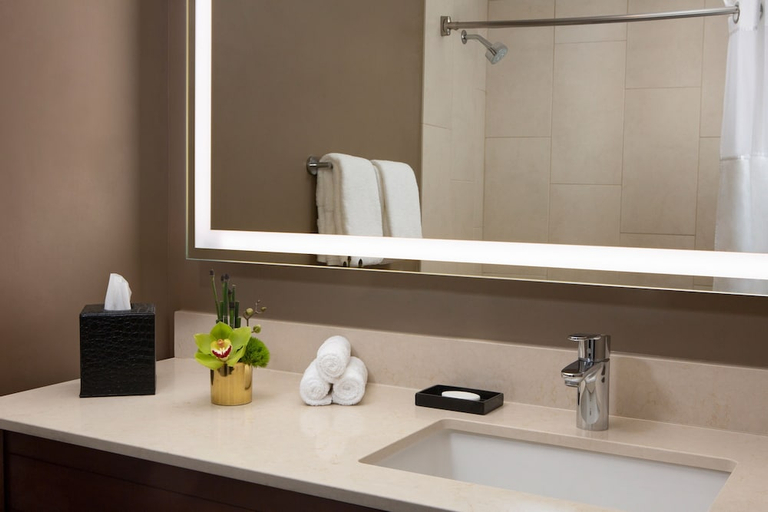 Bathroom 4, Millennium Minneapolis, Hennepin