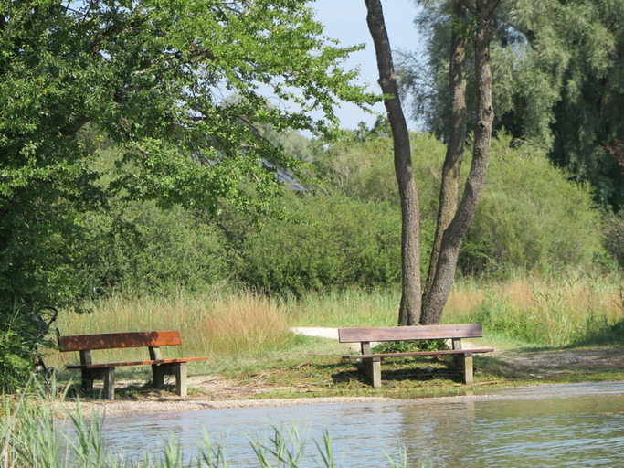 Property grounds, Dennenboomdroom, Rosenheim