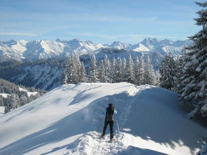 Others 4, Hofatsblick With Sauna, Oberallgäu