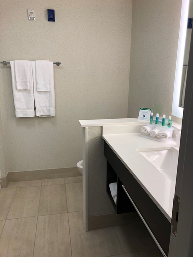 Bathroom 5, Holiday Inn Express & Suites MARIETTA, Washington