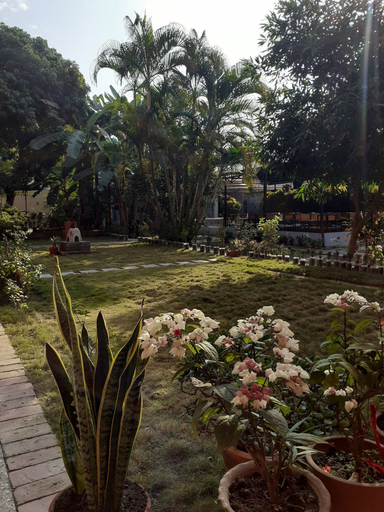 Others 5, Hotel Vibe, Gandaki