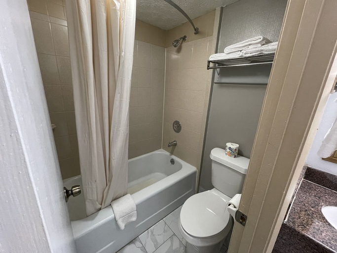 Bathroom 3, FairBridge Inn & Suites McDonough, Henry