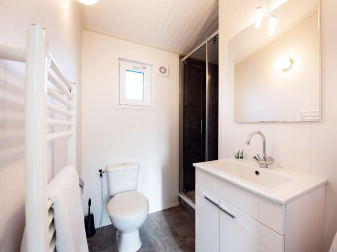 Bathroom 5, Drenthe Chalet Comfort - pet -free, Ooststellingwerf