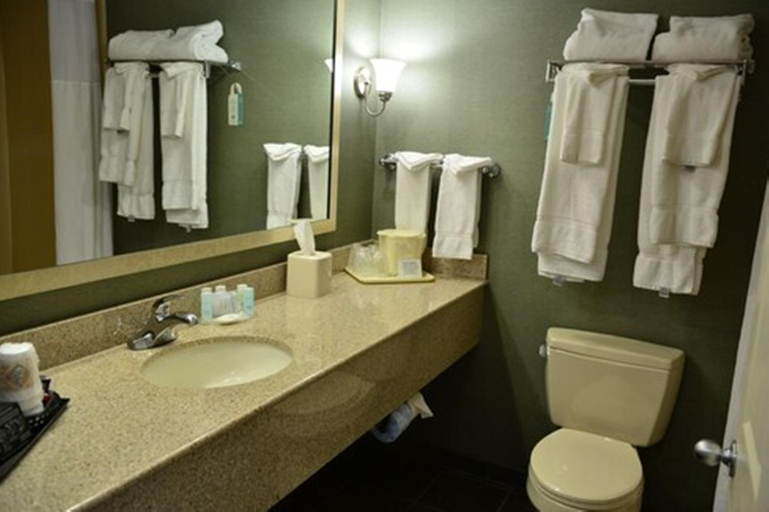 Bathroom 5, Spark by Hilton Lake George Outlets, Warren