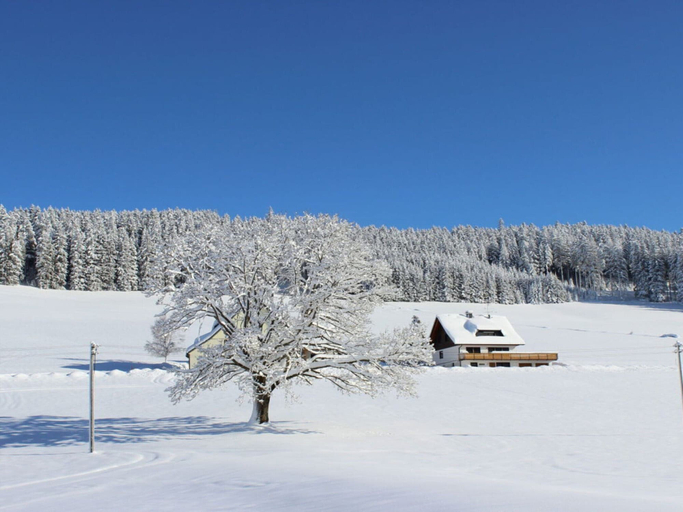 Others 3, Forgetful the big one, Breisgau-Hochschwarzwald