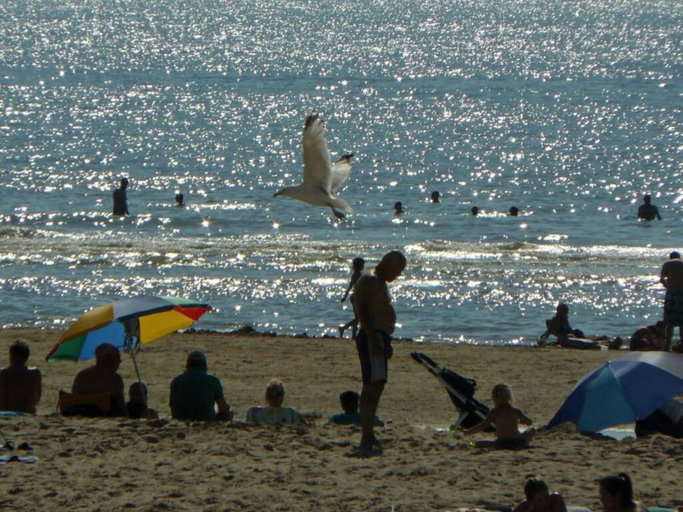 Beach 5, Amazing Apartment in Egmond aan Zee, Bergen