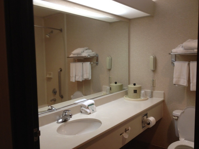 Bathroom, Comfort Suites McAlester, Pittsburg
